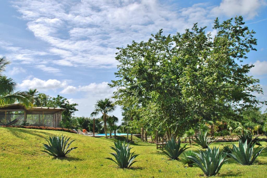 Hotel El Chital Raudales Kültér fotó